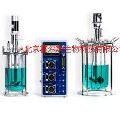 实验室生物反应器 HB-Eu 210系列