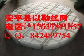 pp聚丙烯丝网除沫器