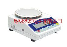 标准型电子天平