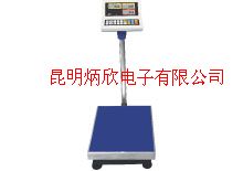 防水防腐不锈钢电子台秤