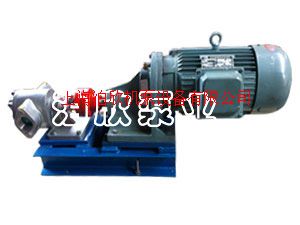 KCB不锈钢齿轮泵|不锈钢泵|不锈钢齿轮泵轴封泄漏应用