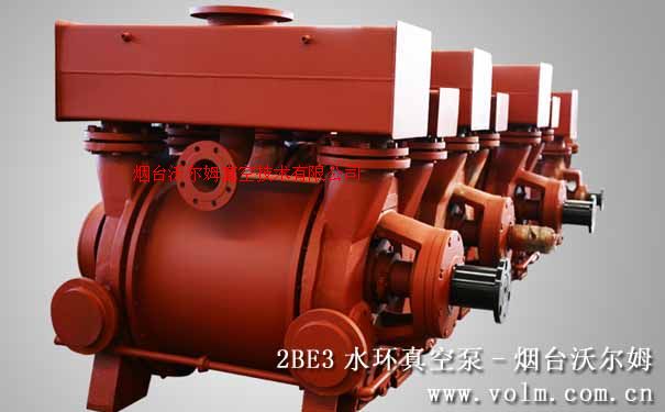 2BE3液环真空泵及压缩机|沃尔姆水环式真空泵