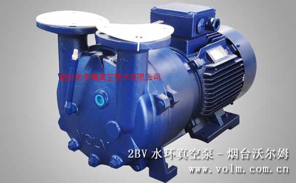 2BV水环式真空泵及压缩机|沃尔姆液环真空泵